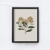 Vintage Flower Art Print | Botanical Floral Drawing A105